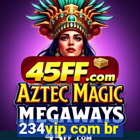 234vip com br